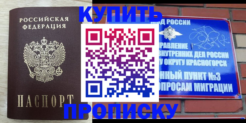 прописка гарантия в Озёрске